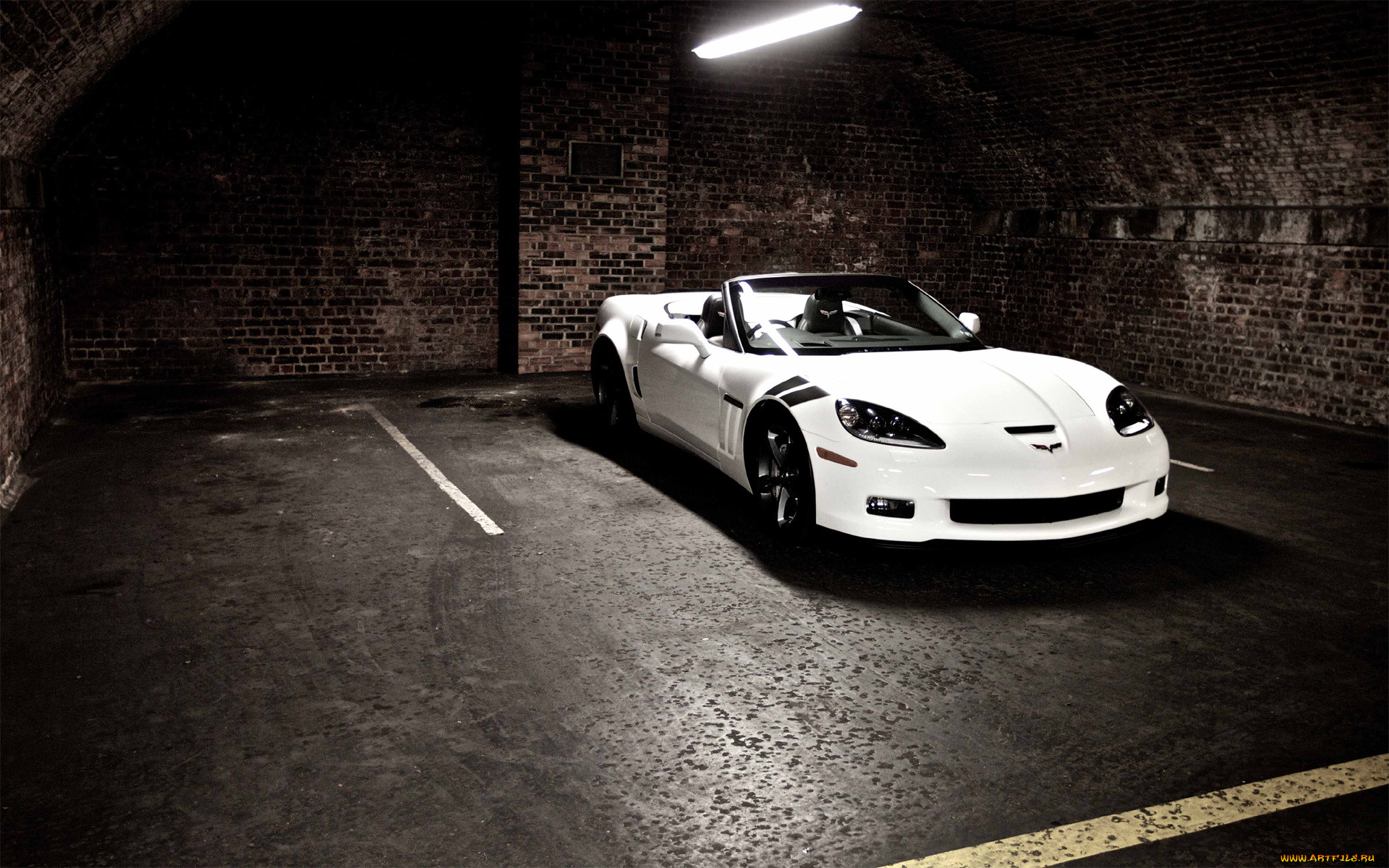 , corvette